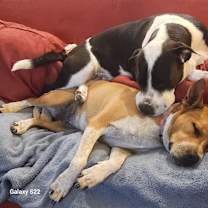 Thumbnail photo of MYSTIC #2