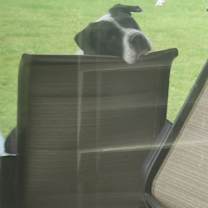 Thumbnail photo of MYSTIC #3