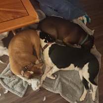 Thumbnail photo of MYSTIC #4