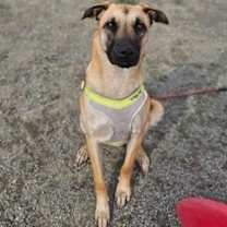 Thumbnail photo of Aisha #1