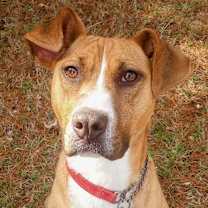 Thumbnail photo of Katarina #1