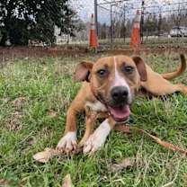 Thumbnail photo of Katarina #4