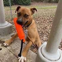 Thumbnail photo of Arturo #1