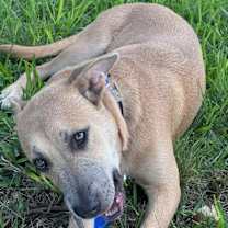 Thumbnail photo of Cutie Pie #1