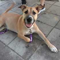 Thumbnail photo of Cutie Pie #2