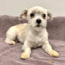 Thumbnail photo of Dylan #3