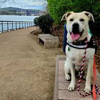 Thumbnail photo of Dune #1