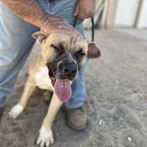 Thumbnail photo of BILLY #3