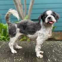 Thumbnail photo of Astrid #4