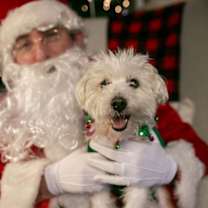 Thumbnail photo of Opal #1