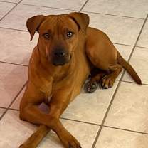 Thumbnail photo of Coffee #2