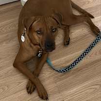 Thumbnail photo of Coffee #3