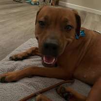 Thumbnail photo of Coffee #4