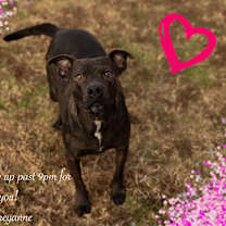 Thumbnail photo of Cheyanne #2