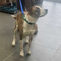 Thumbnail photo of Burt #2