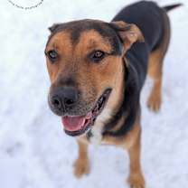Thumbnail photo of Zeus #3