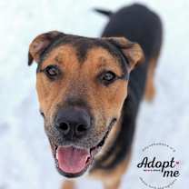 Thumbnail photo of Zeus #4
