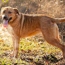 Thumbnail photo of Grace #3