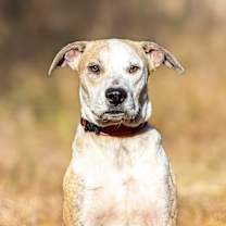 Thumbnail photo of Logan #1