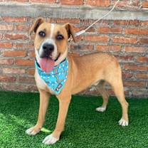 Thumbnail photo of Adriano #3