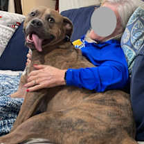 Thumbnail photo of Opie #4