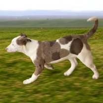 Thumbnail photo of Ketchup #2