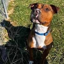 Thumbnail photo of Pop-Sponsored #2