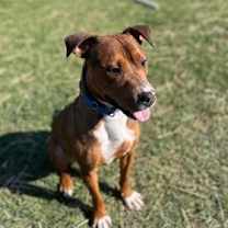 Thumbnail photo of Pop-Sponsored #3