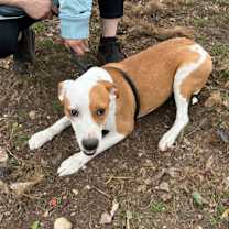 Thumbnail photo of Texas #1