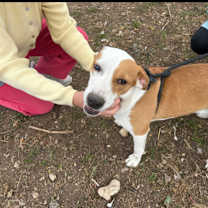 Thumbnail photo of Texas #2