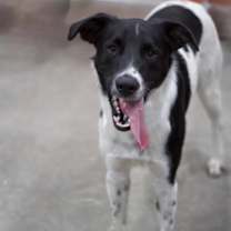 Thumbnail photo of Walter #1