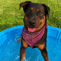 Thumbnail photo of Coral #1