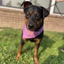 Thumbnail photo of Coral #2