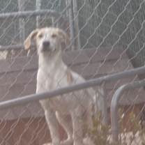 Thumbnail photo of McDouble #1