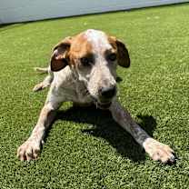 Thumbnail photo of Tuts #3