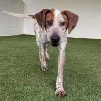 Thumbnail photo of Tuts #4