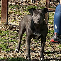 Thumbnail photo of Rudy #1