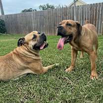 Thumbnail photo of Fiona #2