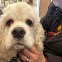 Thumbnail photo of Ray Ray #3