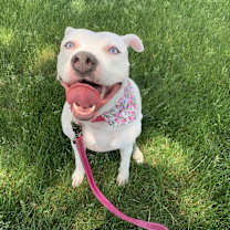 Thumbnail photo of Luna #1