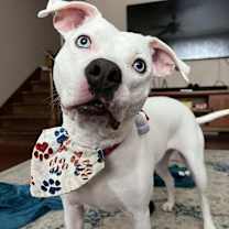 Thumbnail photo of Luna #2