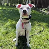 Thumbnail photo of Luna #3