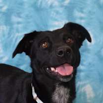 Thumbnail photo of Meadow #1