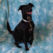 Thumbnail photo of Meadow #3