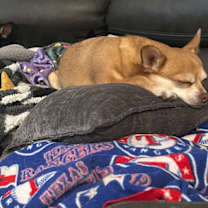 Thumbnail photo of Benjamin #3