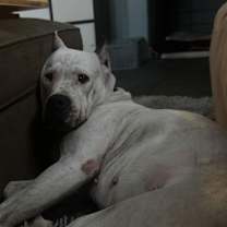 Thumbnail photo of Ellie May #3