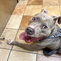 Thumbnail photo of Nova #4