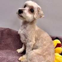 Thumbnail photo of Noah #2