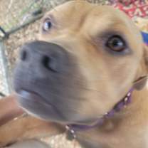 Thumbnail photo of Casper #2