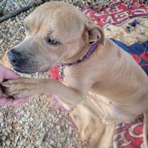 Thumbnail photo of Casper #3